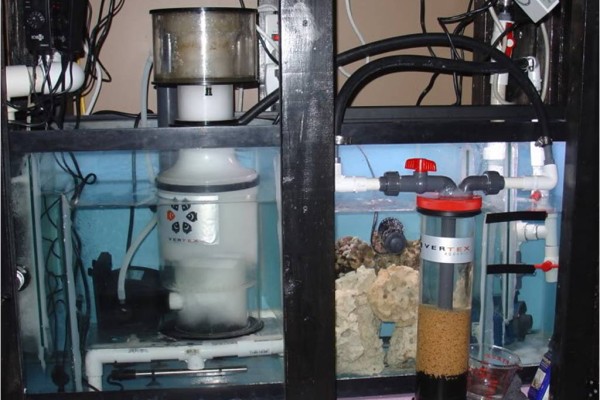 saltwater fish tank equipment