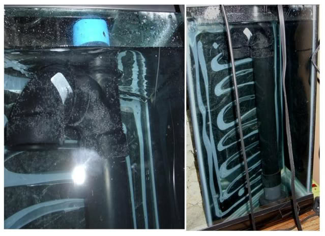 aquarium plumbing basics reef