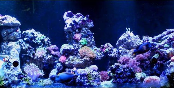 common approaches to filtration