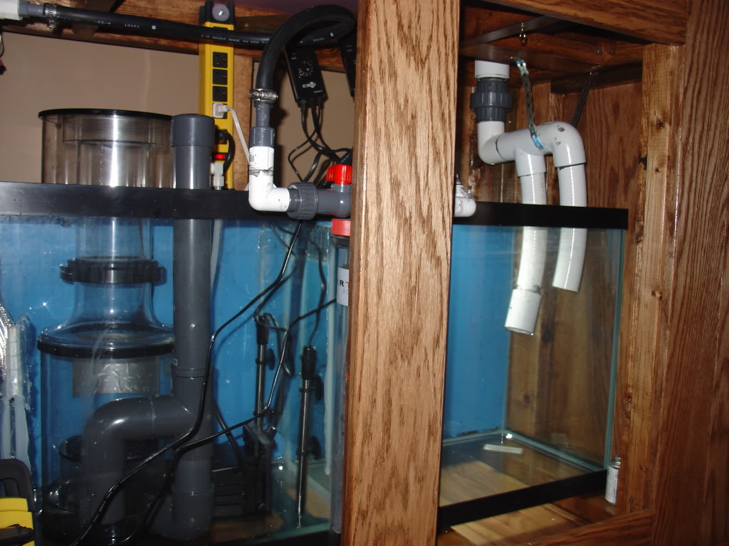 aquarium plumbing basics reef