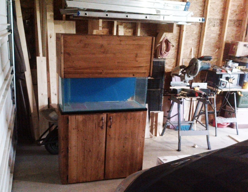 building a aquarium stand