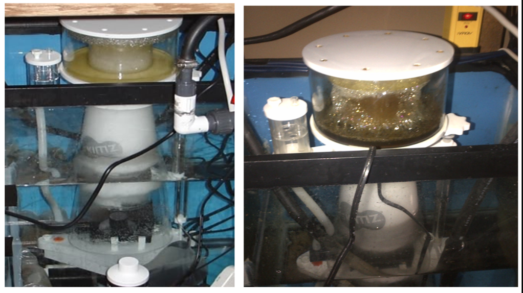 Carbon Dosing in Layman’s Terms Reef Aquarium