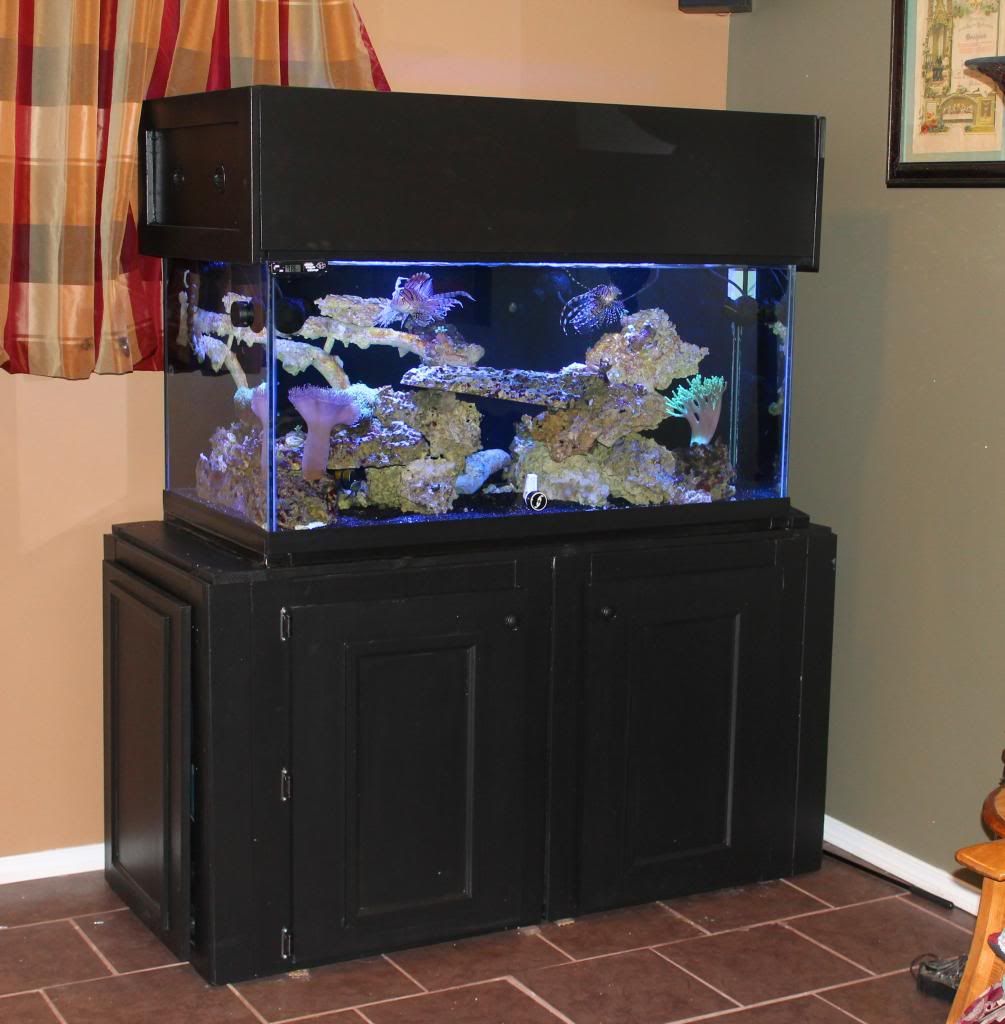 Fish Tank Stand Moasis 75-120 Gallon Aquarium Stand With Power - Technical View