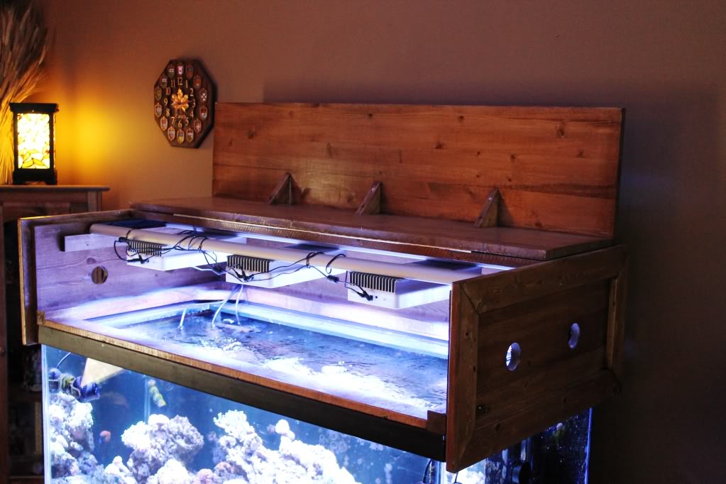 Building A Aquarium Canopy Reef - Diy Aquarium Hood Design