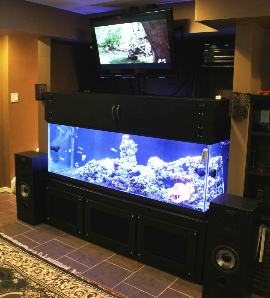 Aquarium Canopy Design 2 Aquarium Canopy Design